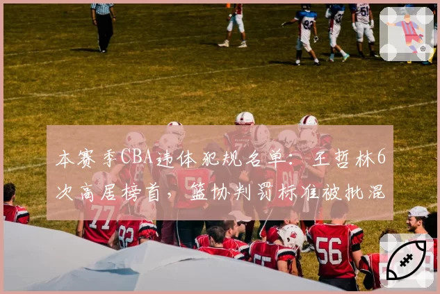 本赛季CBA违体犯规名单：王哲林6次高居榜首，篮协判罚标准被批混乱